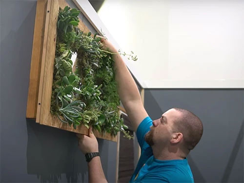 Mirrored headboard with vertical hanging plants