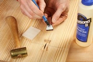 filling knot hole with butterfly inlay