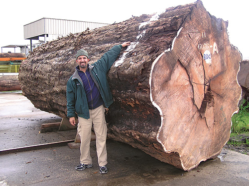 Bubinga