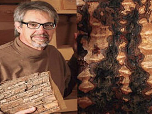 Man holding piece of wood with bark showing