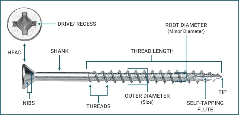 Labeled parts of a wood screw