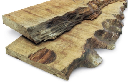 Example of waney edged boards