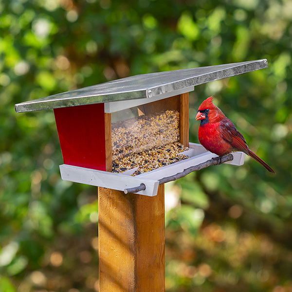 Bird Feeder Plan Bird Feeder Plan