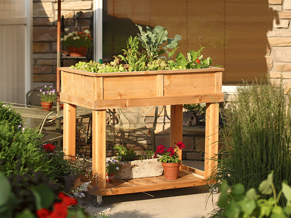 garden cart on patio