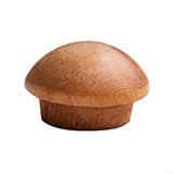 Button-style screw hole plug