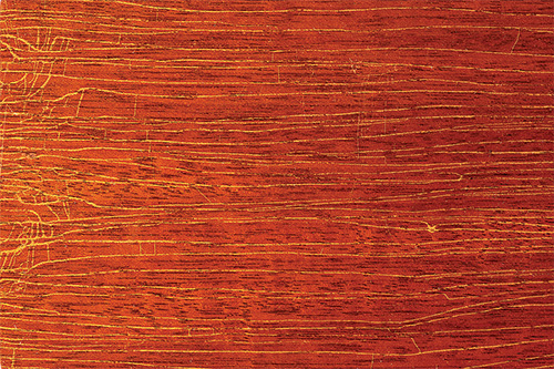 Lacquer finish damaged by wood movement caused by weather changes