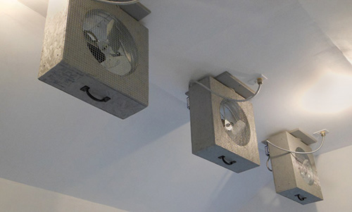 Fans installed in the roof of a dehumidification kiln