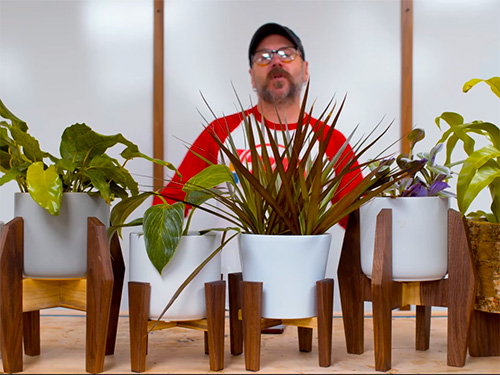 David Picciuto displays several variations of plant stands