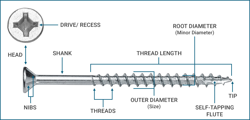 Diagram of the parts of a screw