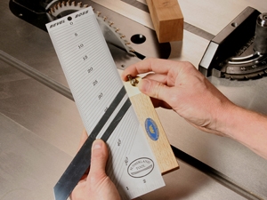 Using a bevel gauge to set a cutting angle