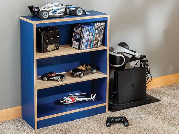 Simple constructed plywood bookcase