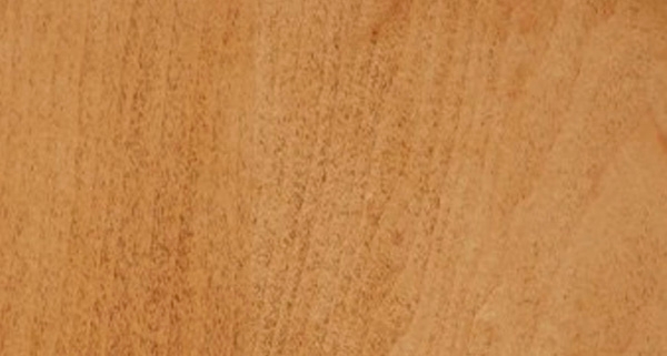 stain closed grain